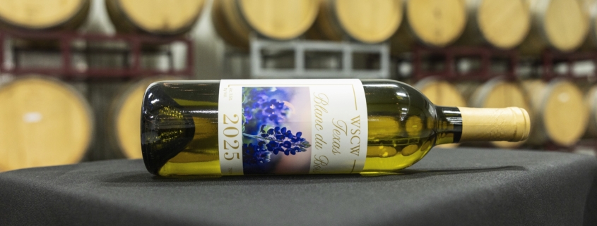 A bottle of WSCW 2025 white wine lays centered on a table, set inside a winery with large wine barrels in the background.
